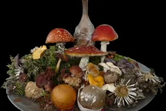 Mushroom-Potpourri 